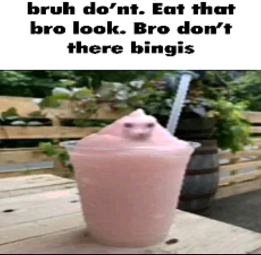 Dont eat bingus