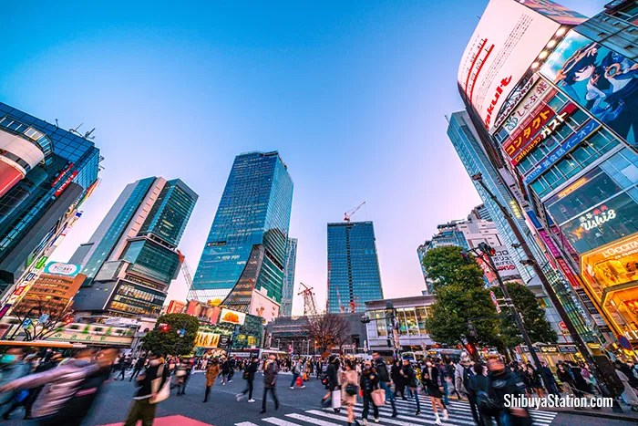 shibuya5