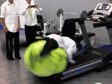 GIF Dump 207